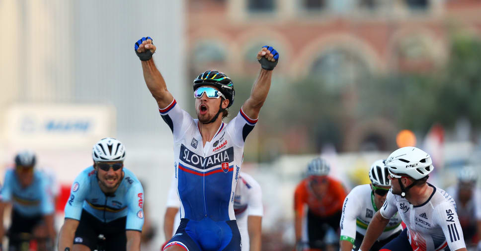 peter sagan helmet