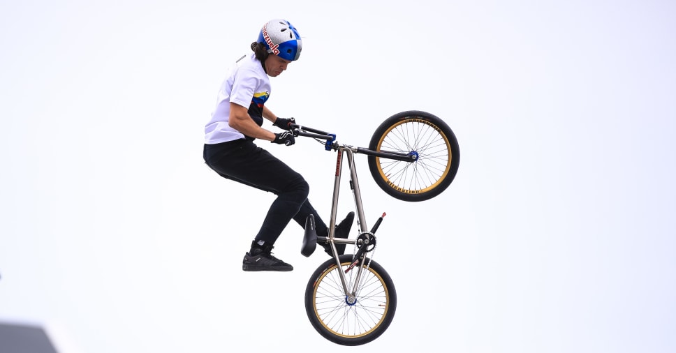 men's freestyle bmx bikes