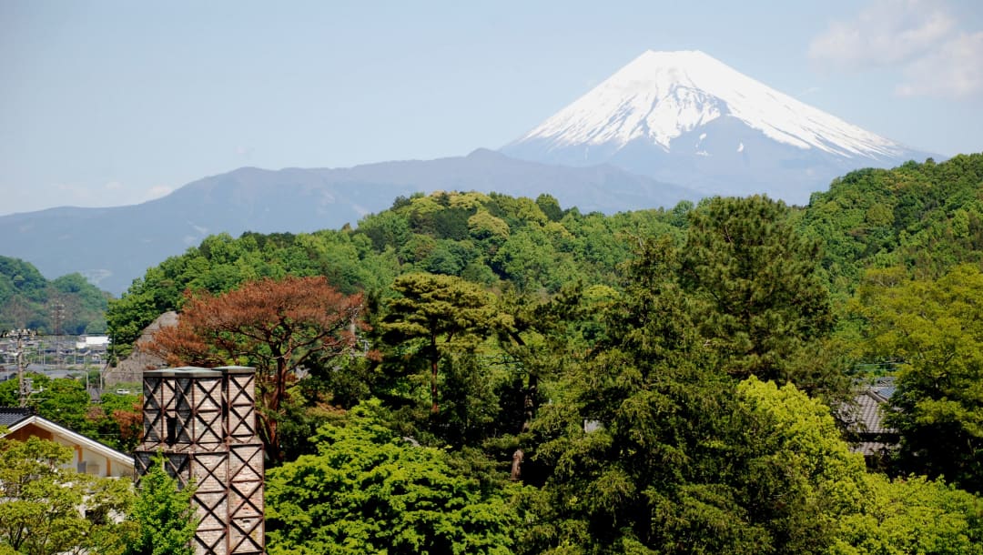 关注静冈县圣火传递 富士山下 点燃希望